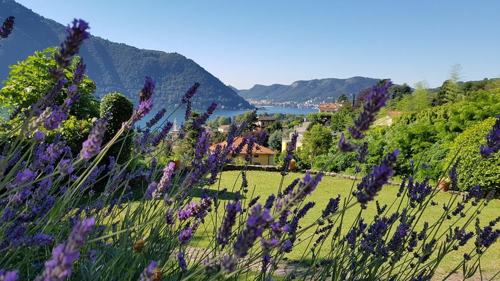 La Finestra Sul Lago Τσερνόμπιο Εξωτερικό φωτογραφία